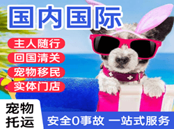 晋江航空快递国际宠物托运 【国